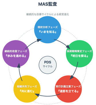 MAS監査とは？